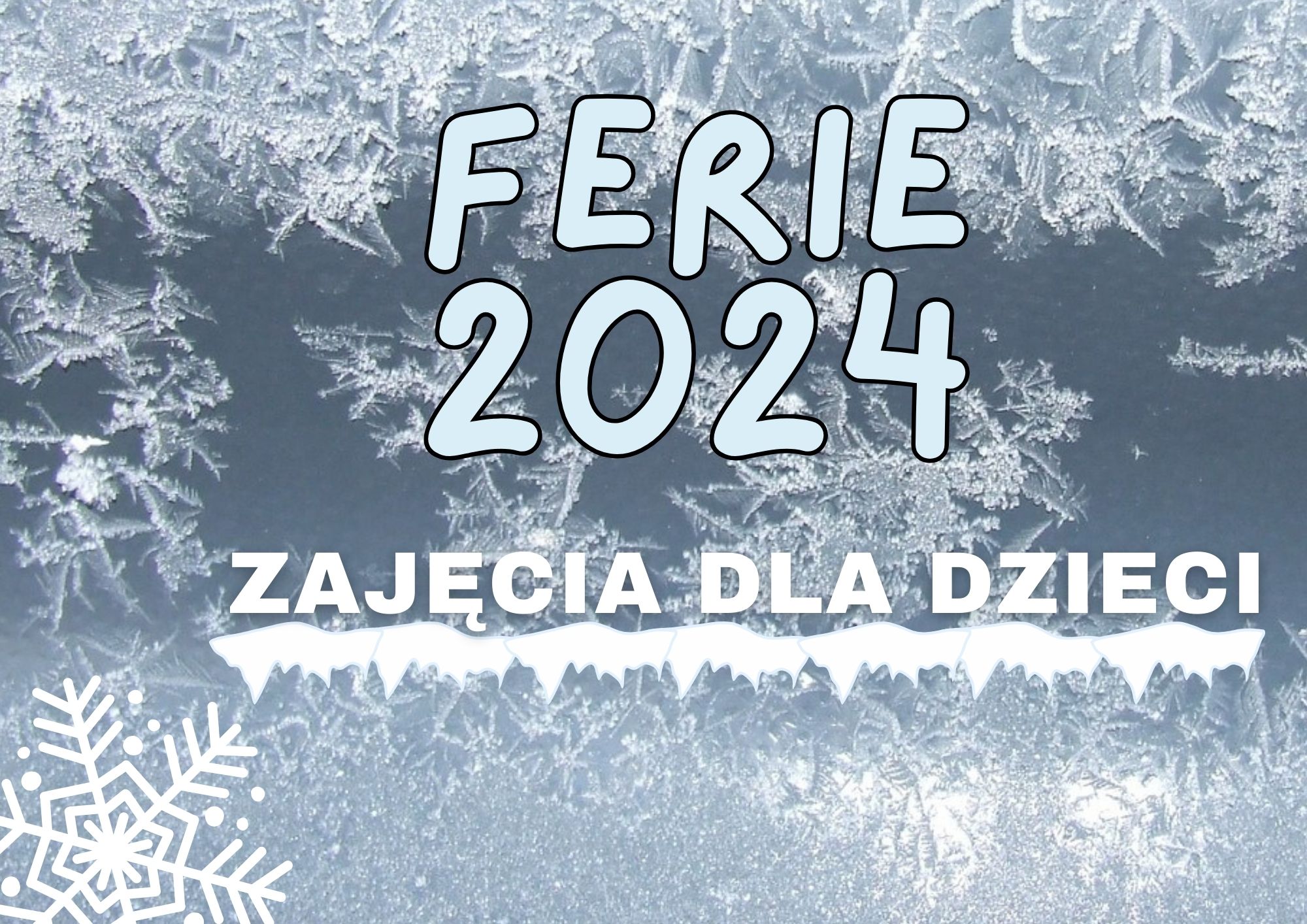 Ferie Zimowe 2024 - oferta zajęć - II tydzień