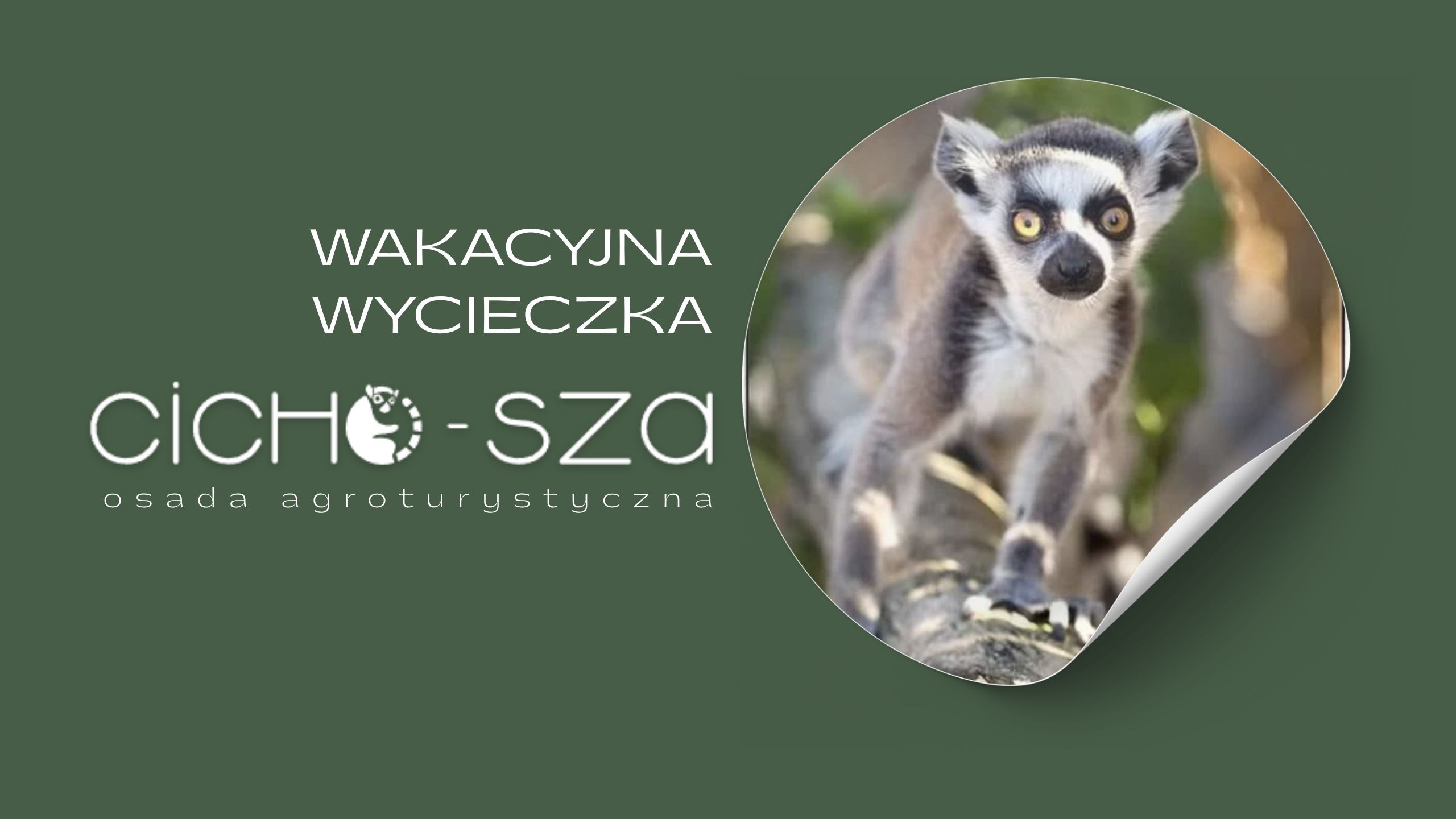 Wycieczka wakacyjna